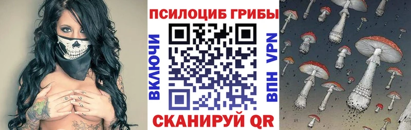 Псилоцибиновые грибы Cubensis  дарнет шоп  даркнет какой сайт  Задонск 
