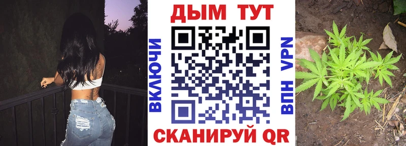 где купить наркоту  Задонск  ссылка на мегу маркетплейс  Бошки Шишки White Widow 